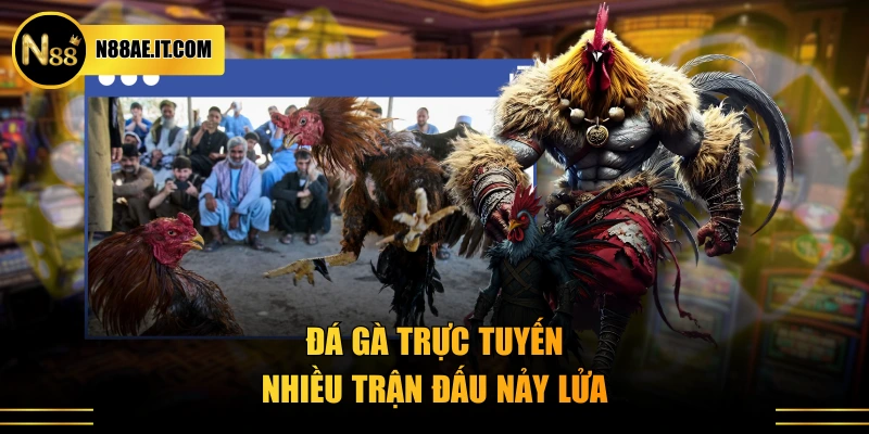 Đá gà trực tuyến nhiều trận đấu nảy lửa